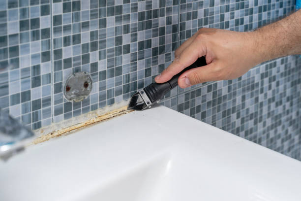 Best Toxic Mold Removal  in Greenwood Village, CO